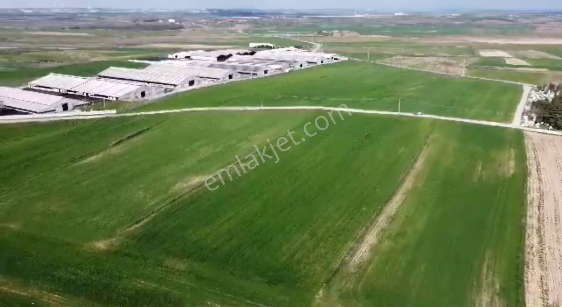 Lüleburgaz Ovacık Köyün'de 6.200 M2 Satılık - Görsel 12