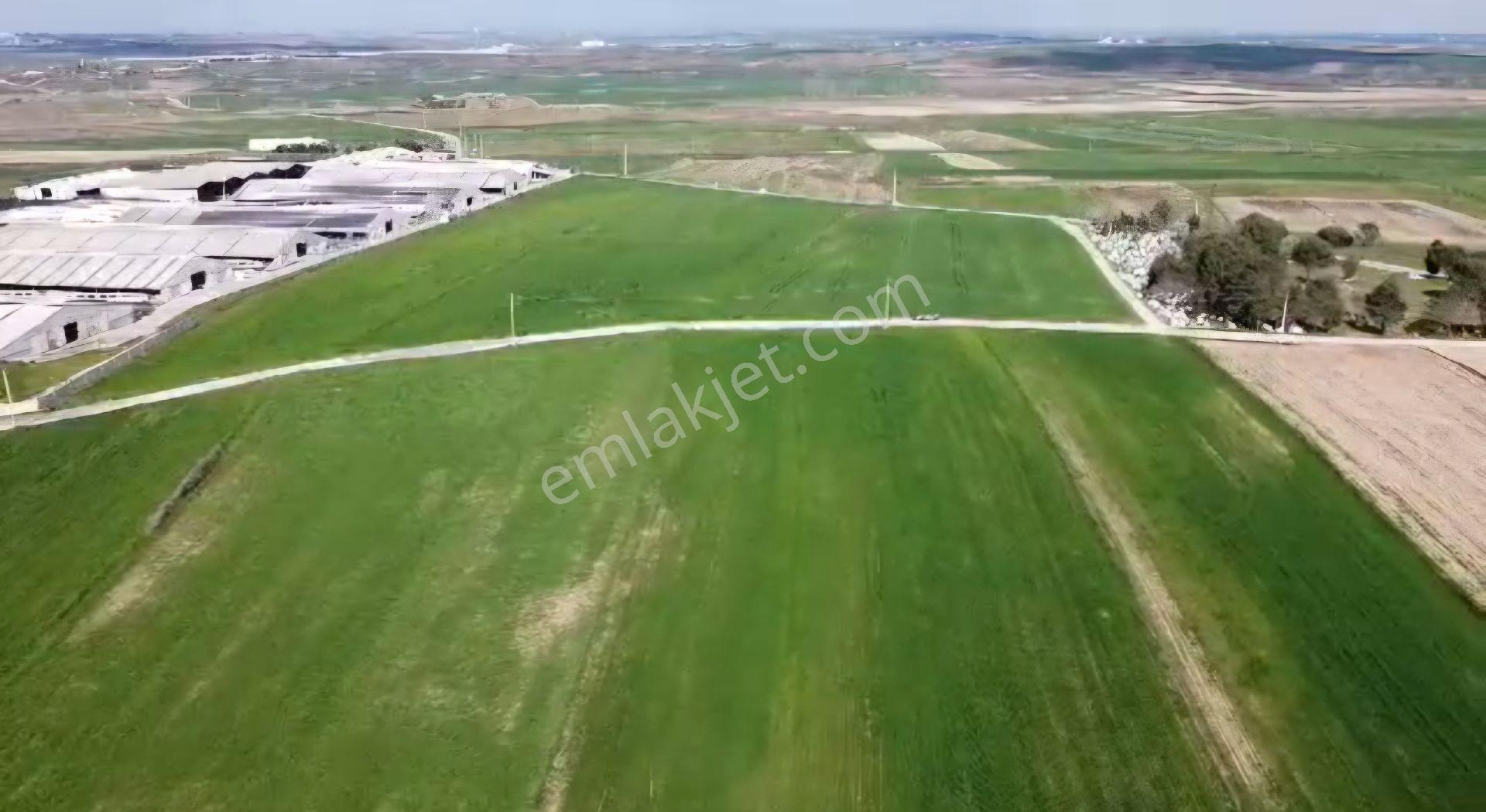 Lüleburgaz Ovacık Köyün'de 6.200 M2 Satılık - Görsel 2