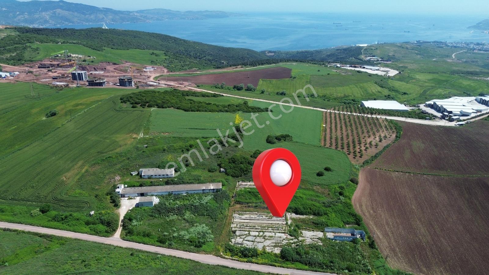 Sevinç'ten Geleceğe Yatırım ! Yeni Mahalle'de 19.082 M² Satılık - Görsel 6