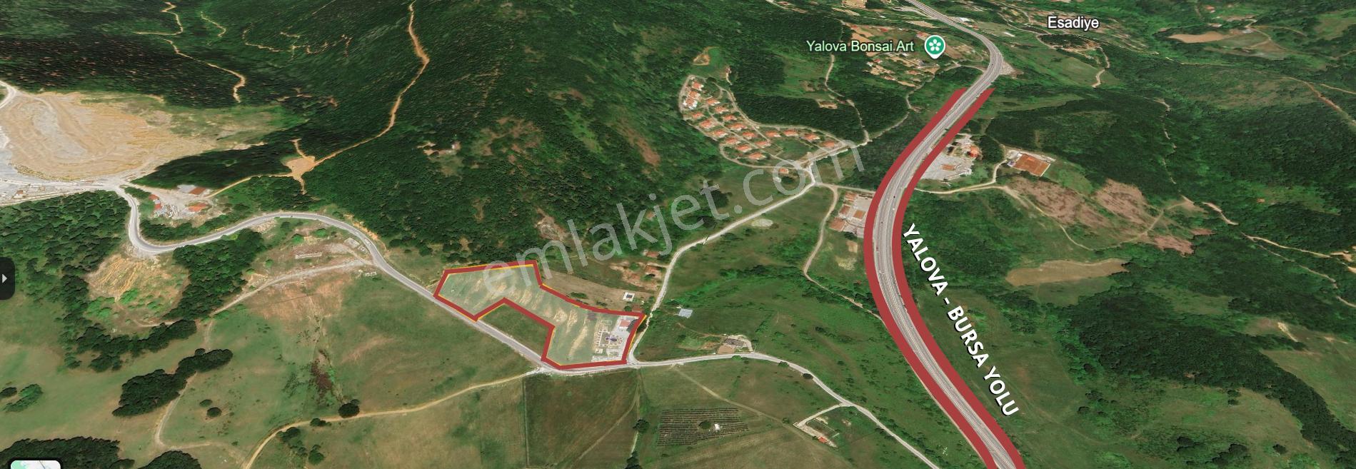 Yalova Esadiye Köyünde Satılık 14.188 M² Tek Tapu Satılık Tarla - Görsel 3