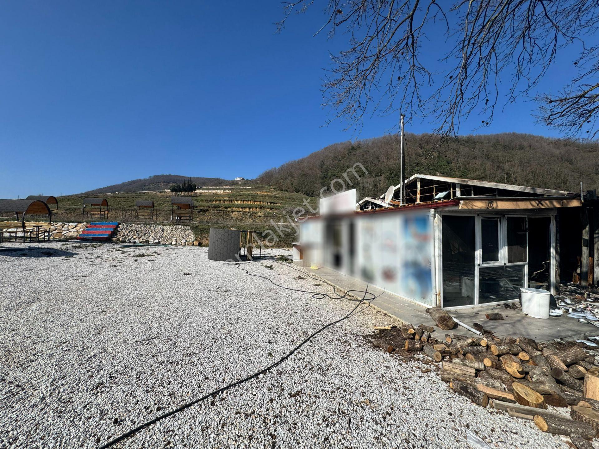 Yalova Esadiye Köyünde Satılık 14.188 M² Tek Tapu Satılık Tarla - Görsel 20