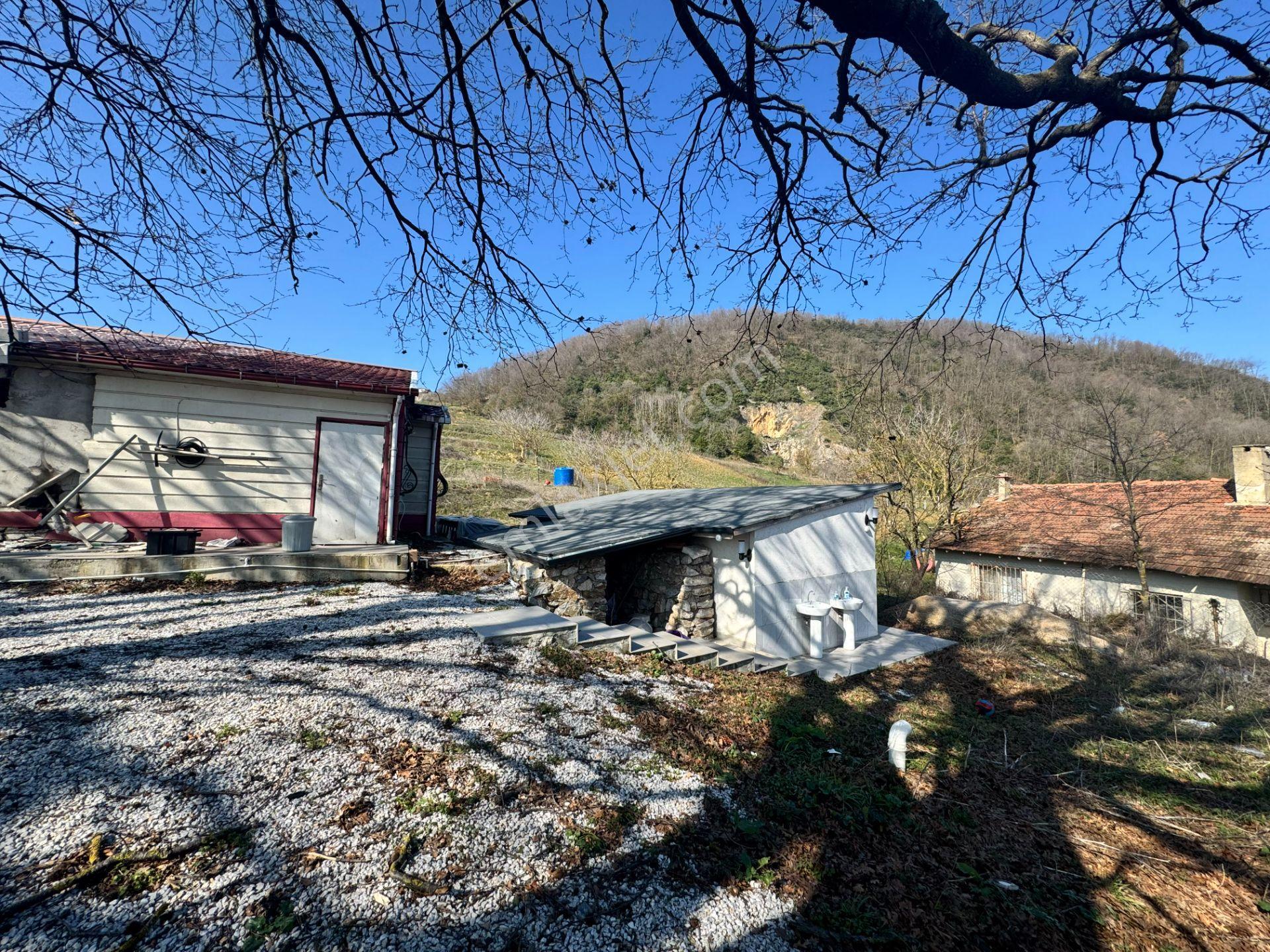 Yalova Esadiye Köyünde Satılık 14.188 M² Tek Tapu Satılık Tarla - Görsel 7