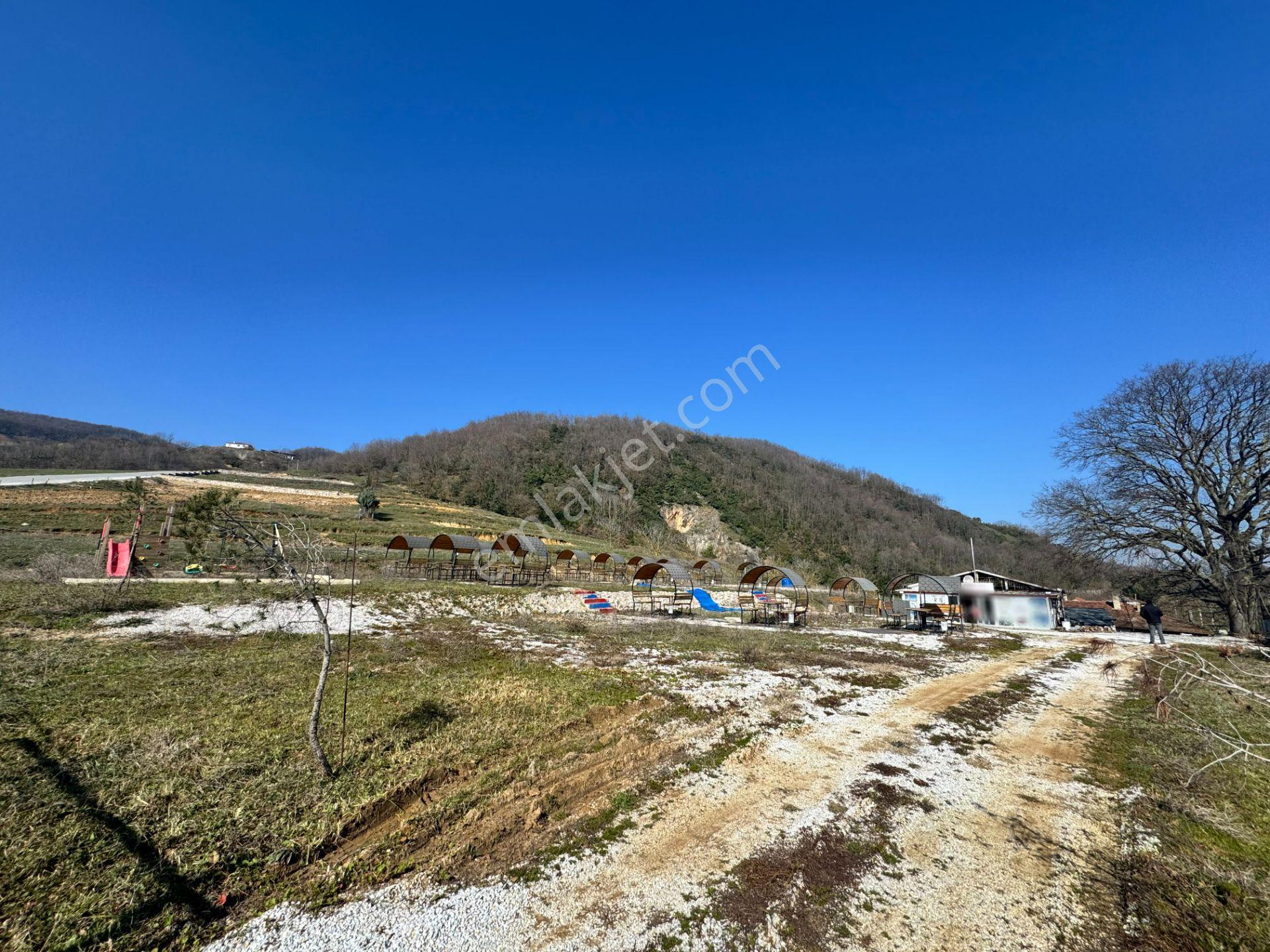Yalova Esadiye Köyünde Satılık 14.188 M² Tek Tapu Satılık Tarla - Görsel 12
