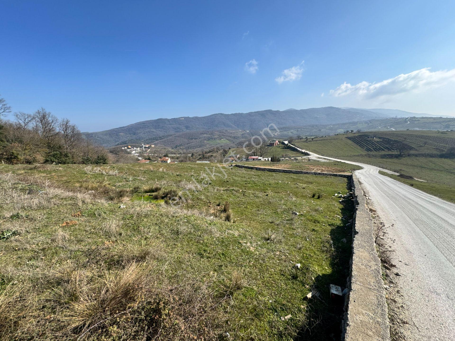 Yalova Esadiye Köyünde Satılık 14.188 M² Tek Tapu Satılık Tarla - Görsel 26