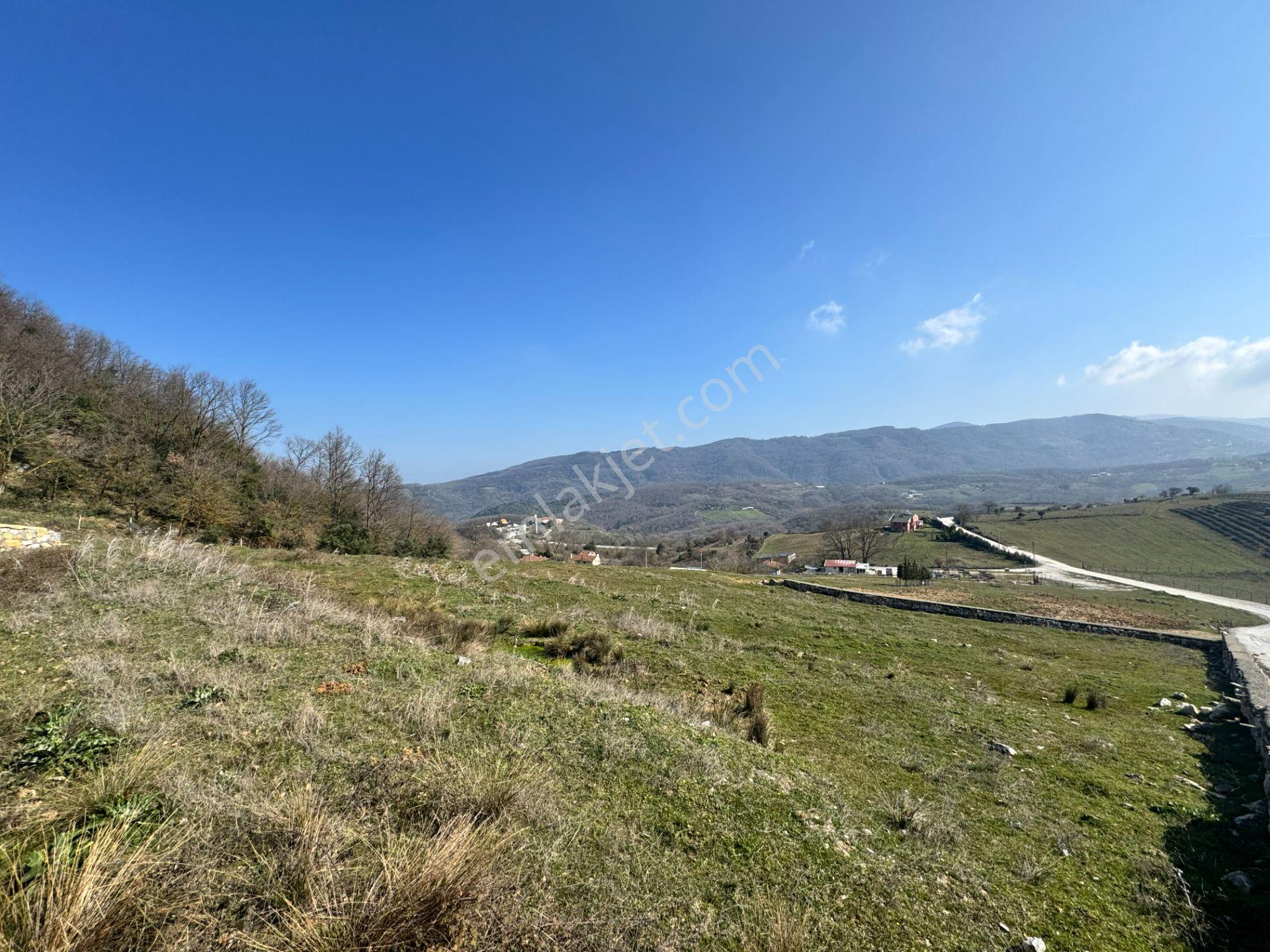Yalova Esadiye Köyünde Satılık 14.188 M² Tek Tapu Satılık Tarla - Görsel 13