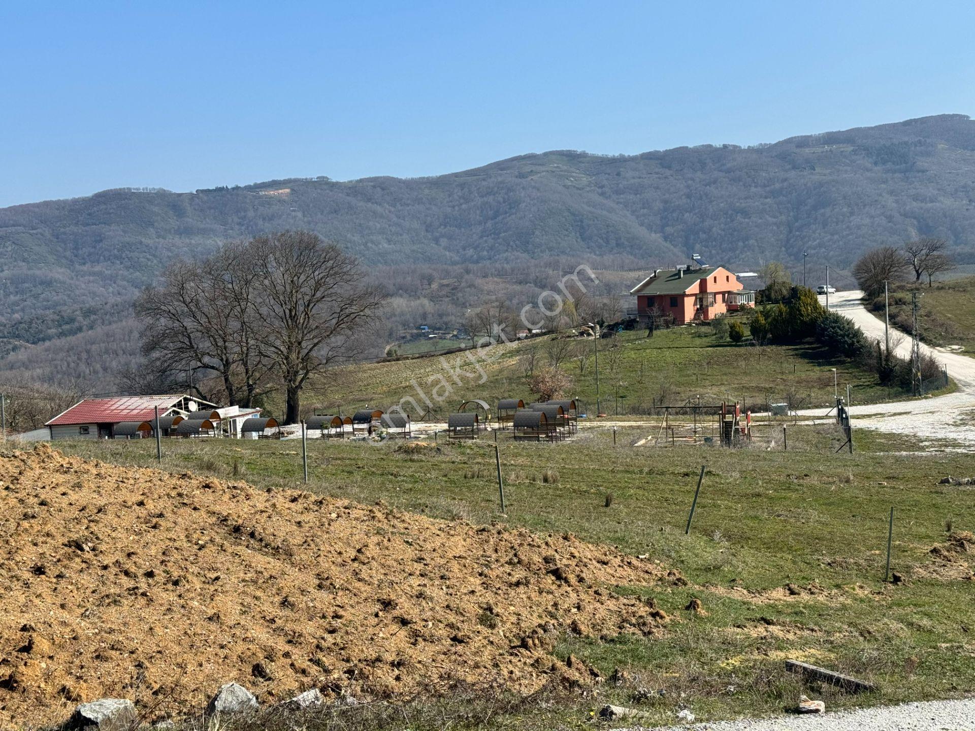 Yalova Esadiye Köyünde Satılık 14.188 M² Tek Tapu Satılık Tarla - Görsel 27