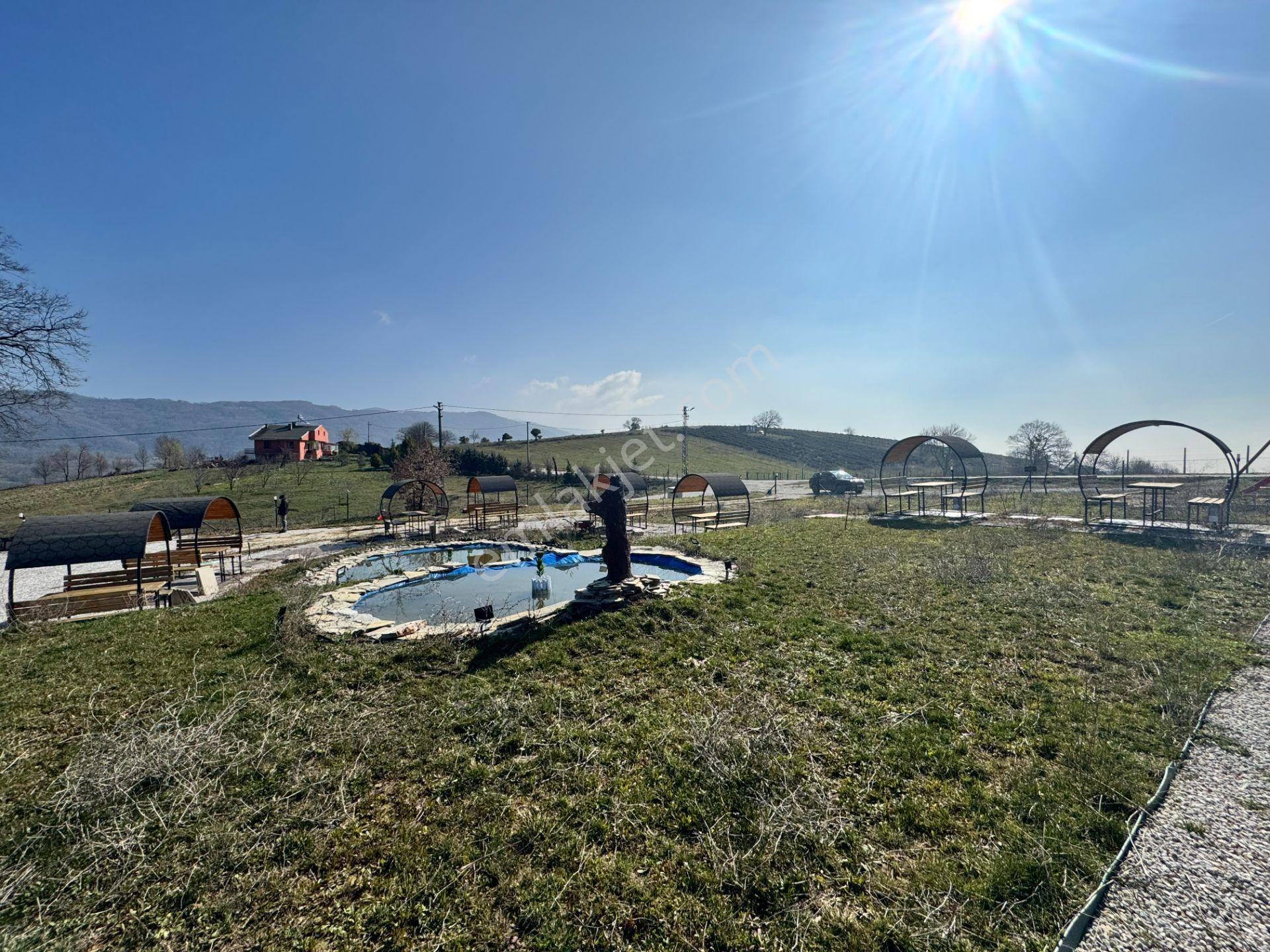Yalova Esadiye Köyünde Satılık 14.188 M² Tek Tapu Satılık Tarla - Görsel 14