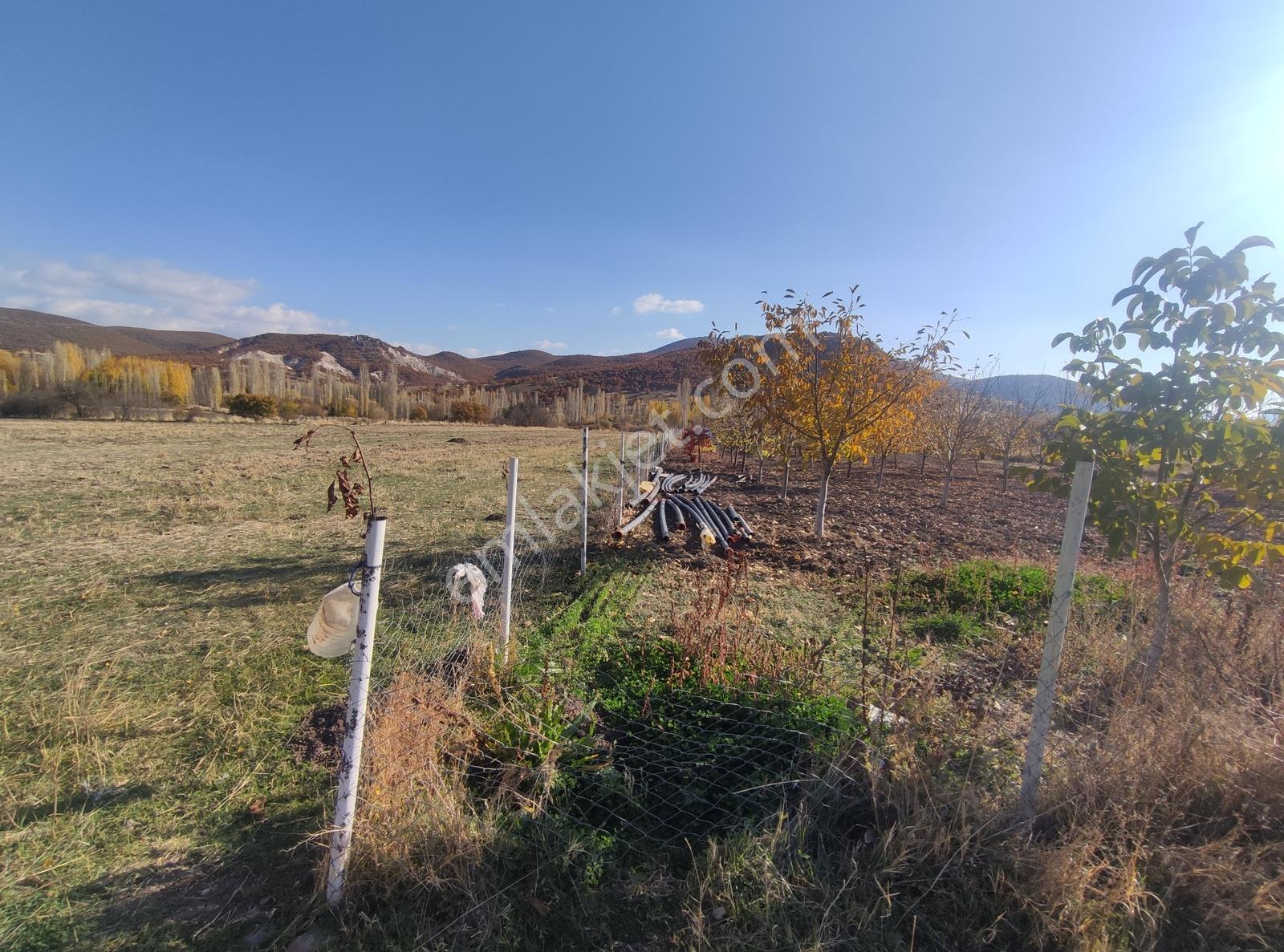 Özpınar.dan İki Cephesi Yol Hazır Sulu Bahçe Konteynerli 3012 M2 - Görsel 27