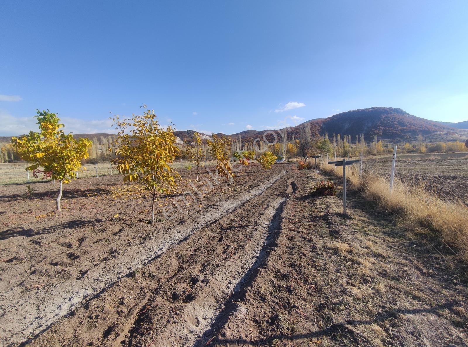 Özpınar.dan İki Cephesi Yol Hazır Sulu Bahçe Konteynerli 3012 M2 - Görsel 31