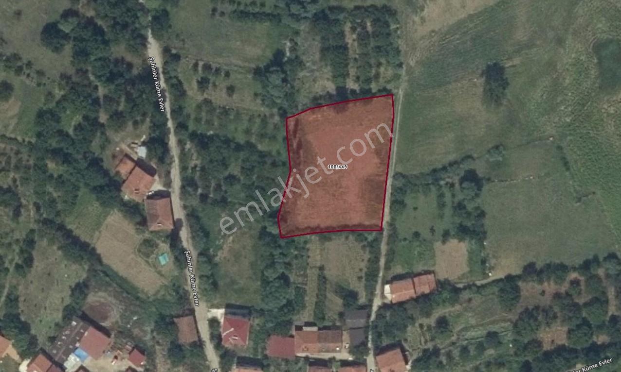 Amasya Taşova Şahinler Köyünde Köy İçi İmarlı Yol Kenarı Arsa - Görsel 2