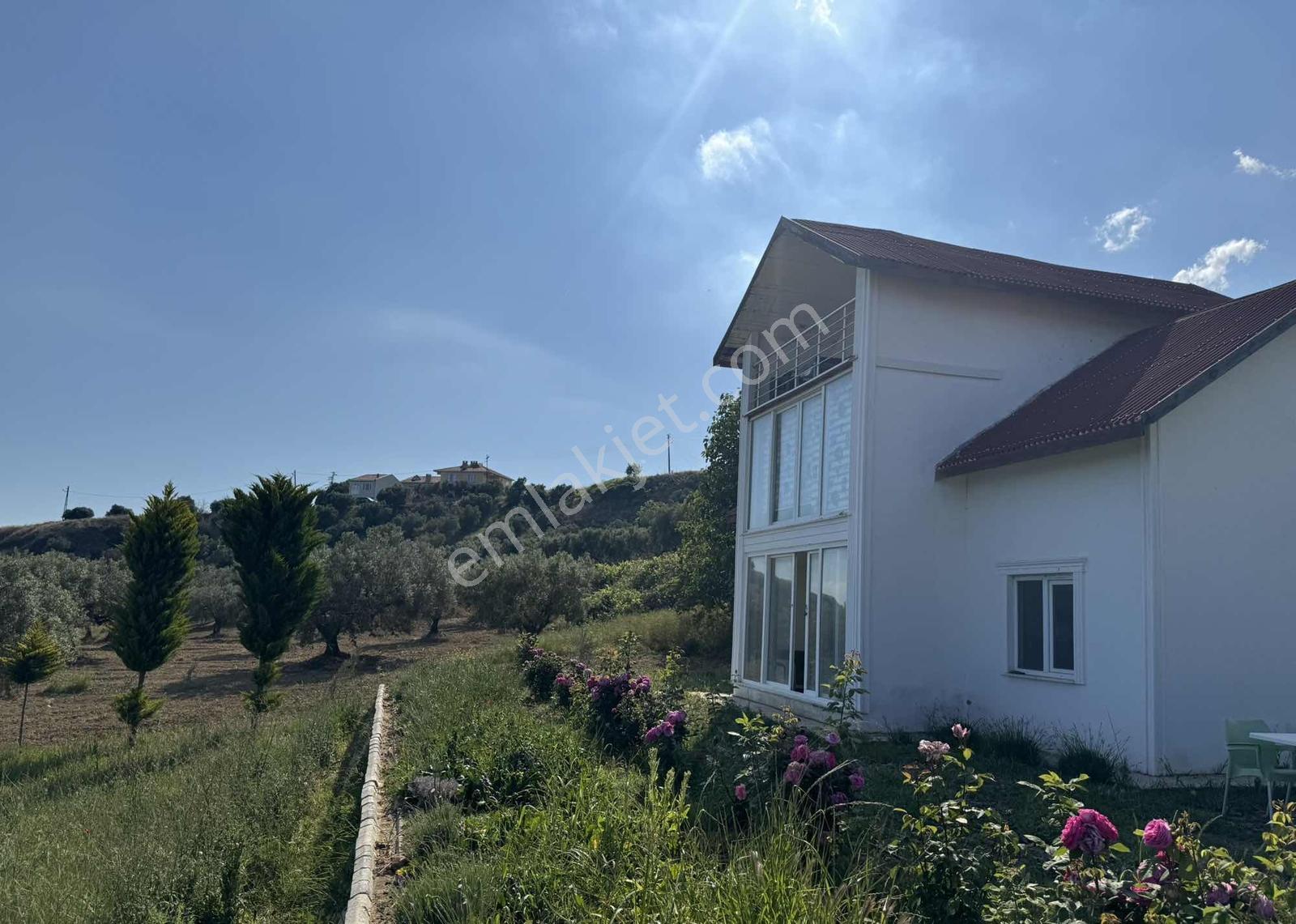 Gümüş Emlaktan Satılık 3382 Metre Kare Bağ Ve Müstakil Ev - Görsel 41