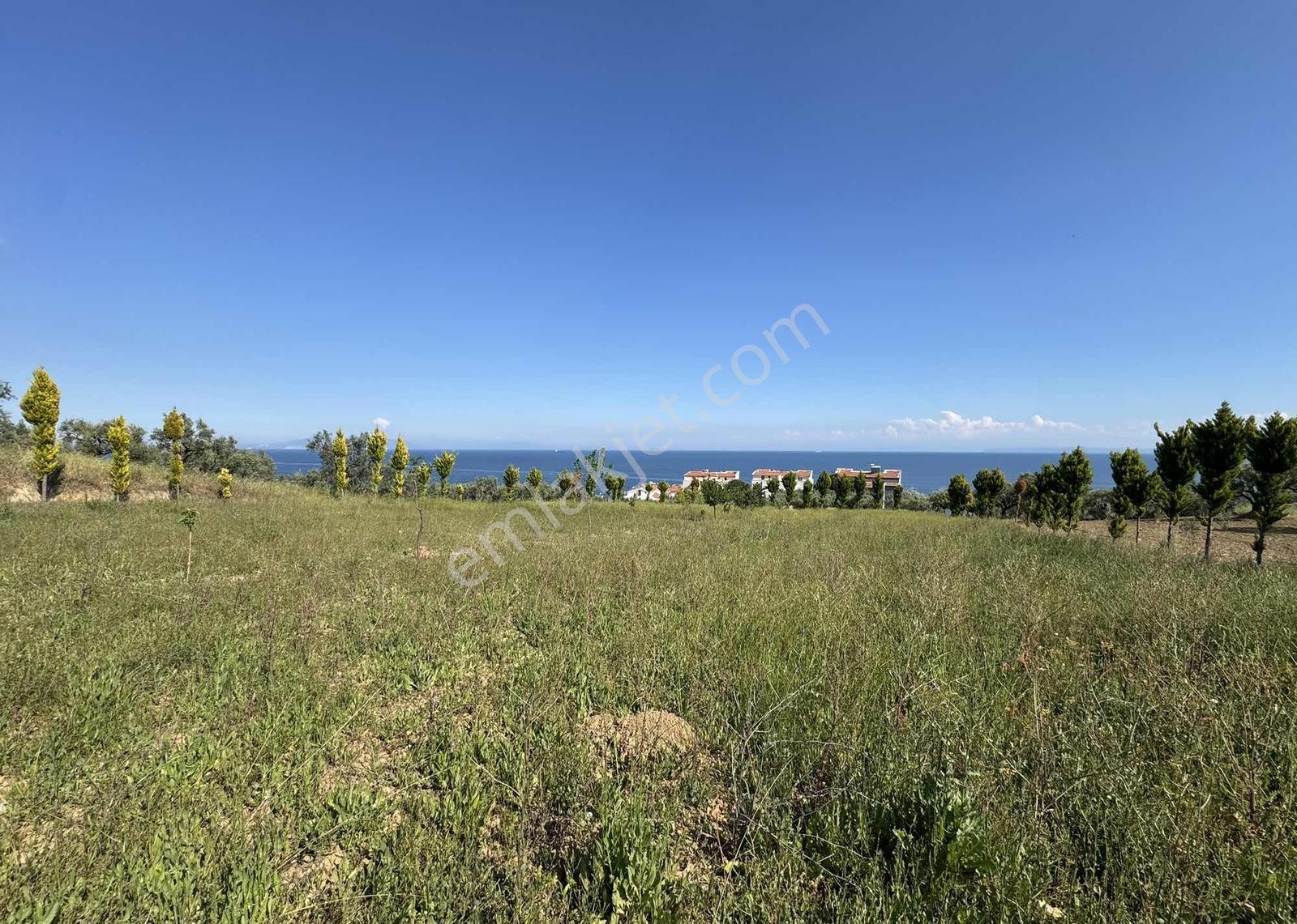 Gümüş Emlaktan Satılık 3382 Metre Kare Bağ Ve Müstakil Ev - Görsel 38