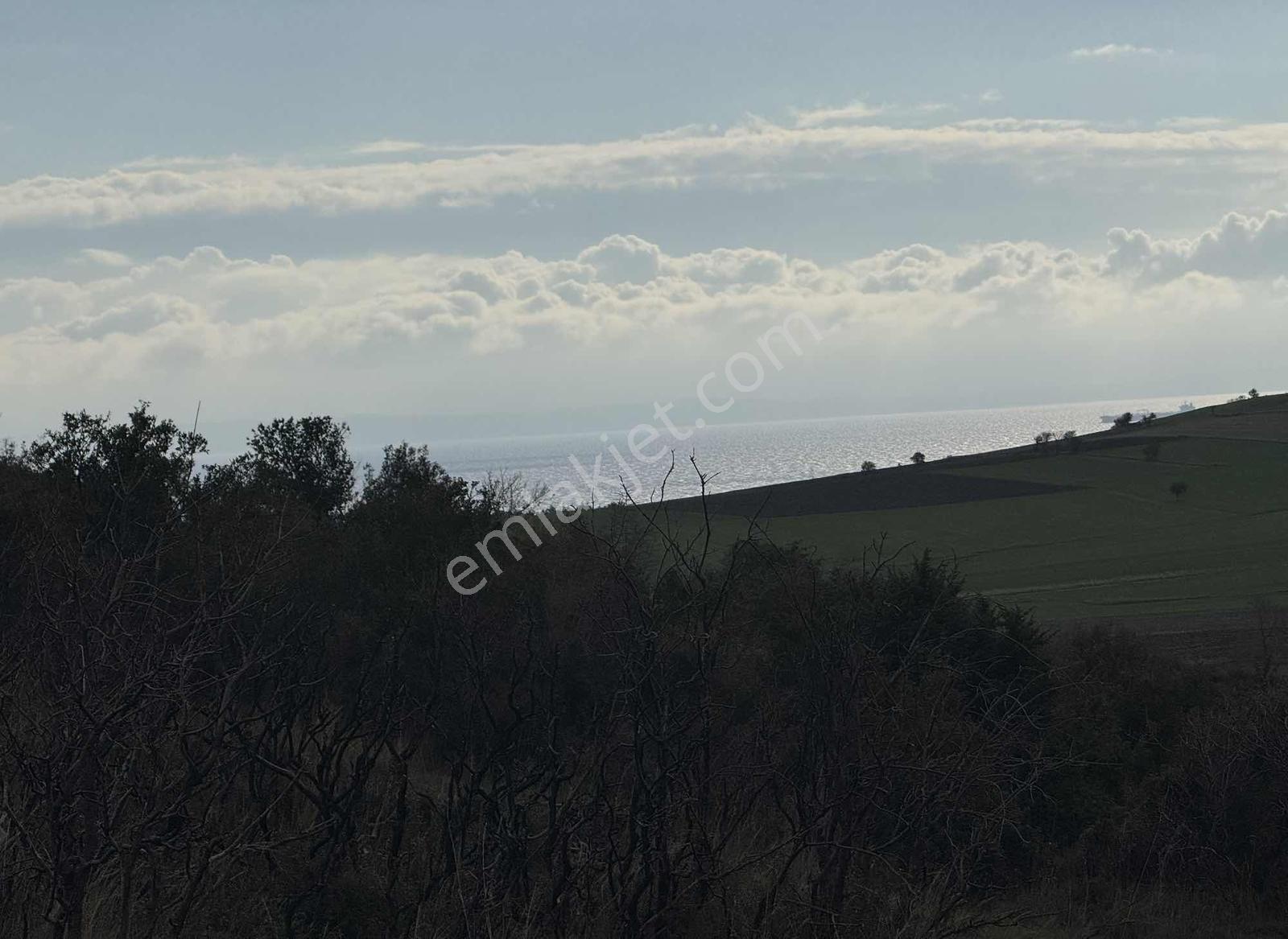 Gümüş Emlak'tan Satılık 873 Metre Kare Tarla - Görsel 13