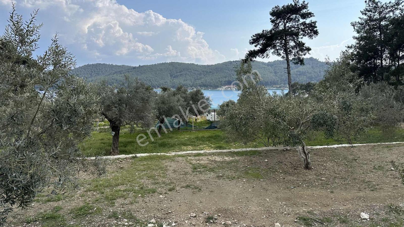 Akbük Sahilde Kiralık Müstakil Ev Ve Arazi - Görsel 14