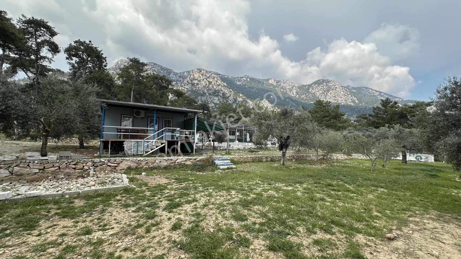 Akbük Sahilde Kiralık Müstakil Ev Ve Arazi - Görsel 13