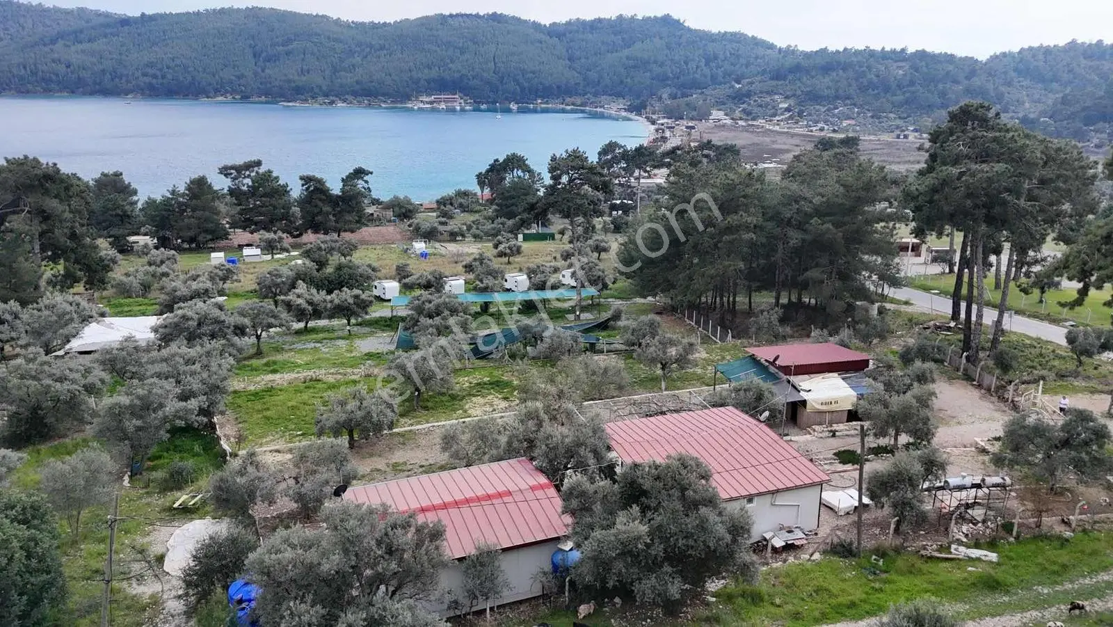 Akbük Sahilde Kiralık Müstakil Ev Ve Arazi