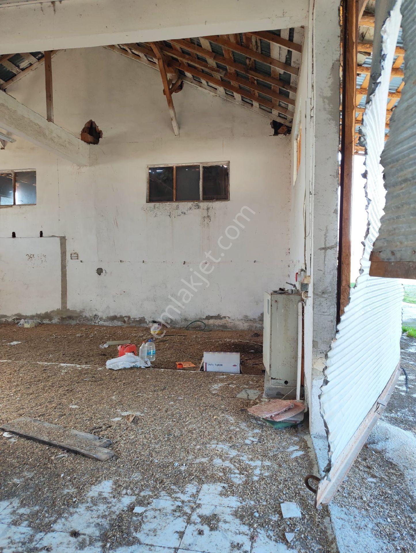Kastamonu Merkez Kuzyakada Eski Değirmen Arazisi - Görsel 26
