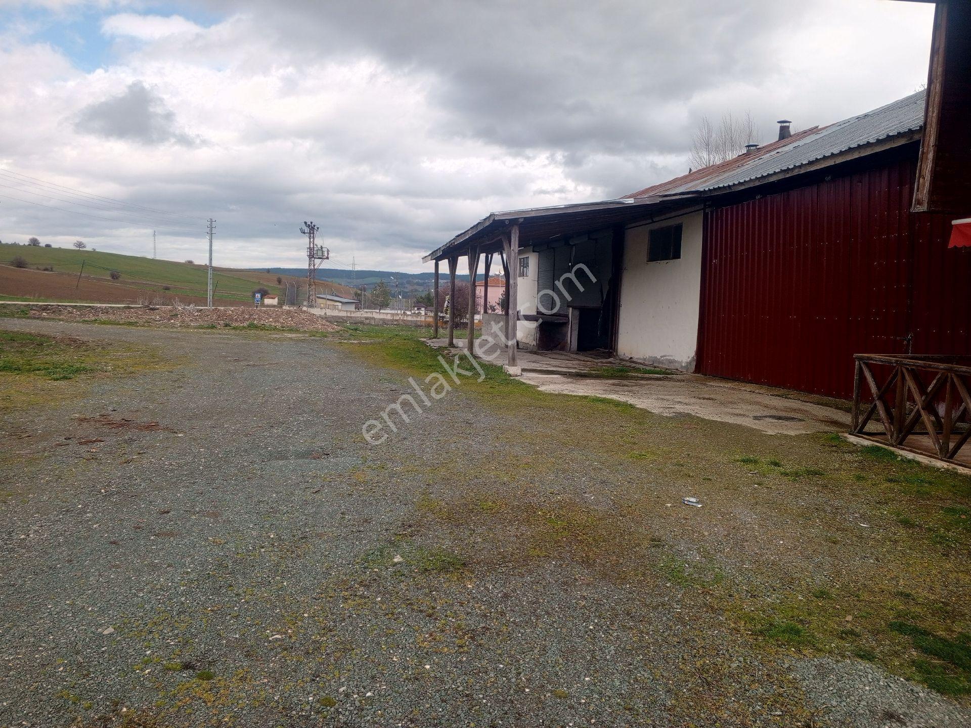 Kastamonu Merkez Kuzyakada Eski Değirmen Arazisi - Görsel 17