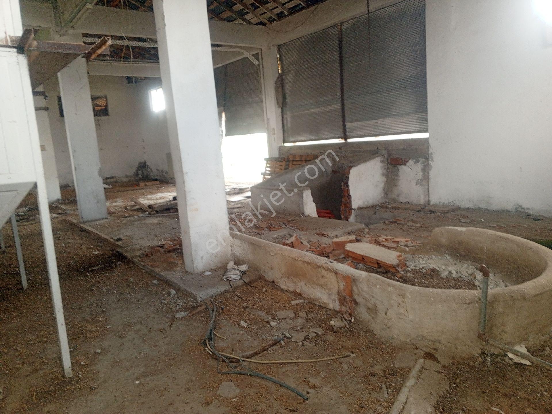 Kastamonu Merkez Kuzyakada Eski Değirmen Arazisi - Görsel 9