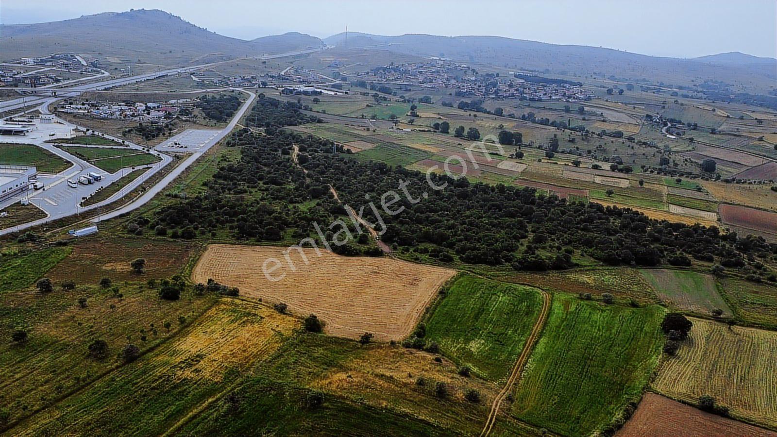 Balıkesir Kareside Emsali Olmayan 9.802 M² Satılık Tarla