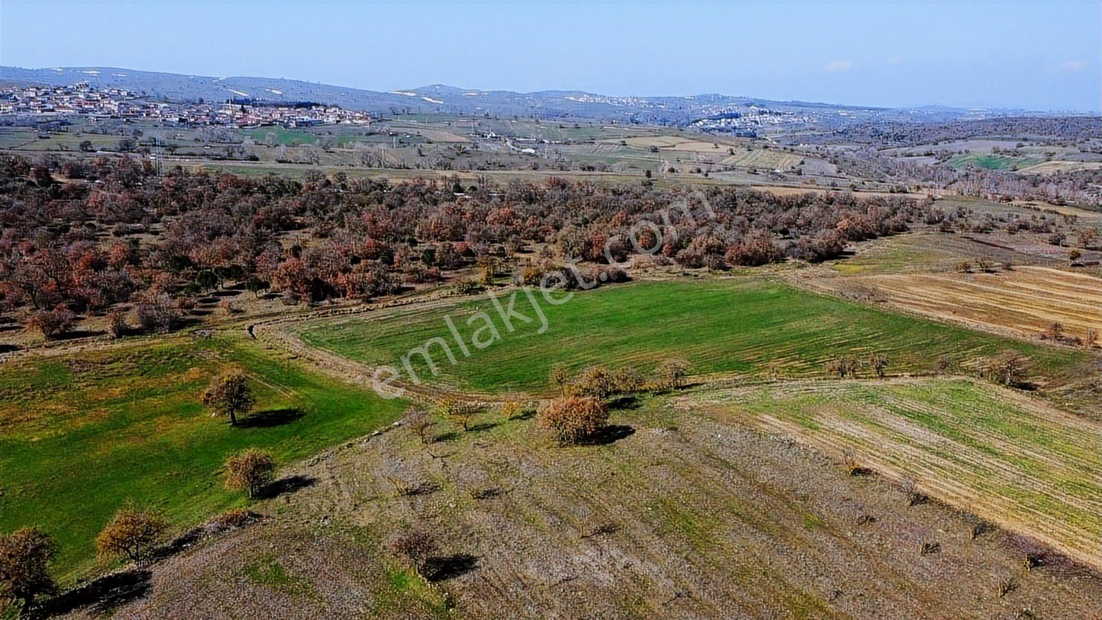 Balıkesir Kareside Emsali Olmayan 9.802 M² Satılık Tarla - Görsel 7