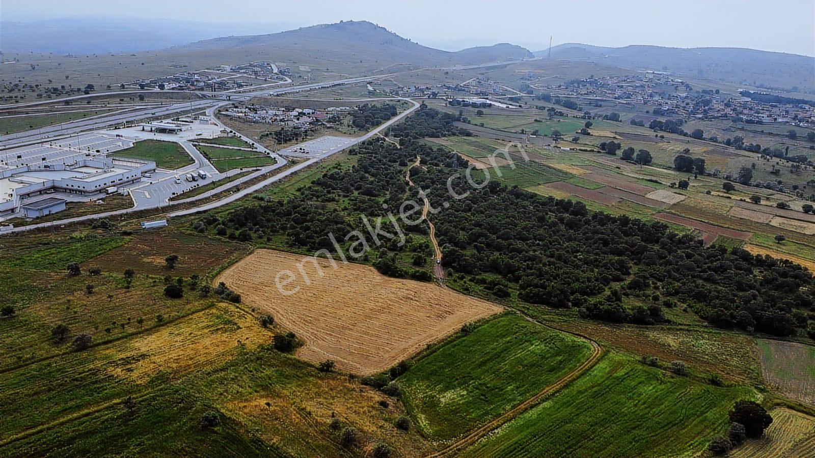 Balıkesir Kareside Emsali Olmayan 9.802 M² Satılık Tarla - Görsel 6