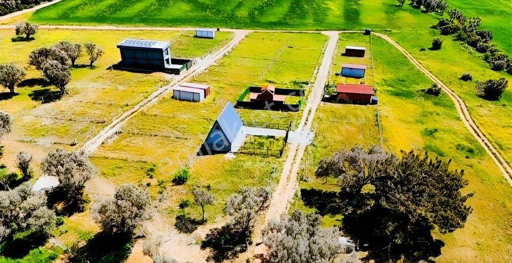 Bal Gayrimenkulden Barbarosta İmarın Yanında 220 M2 Bahçe - Görsel 6