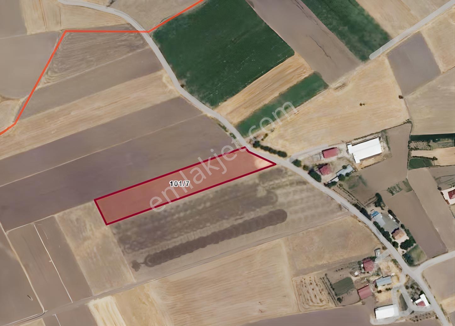 *nova* İkitepe Köyünde Satılık Fırsat Tarla