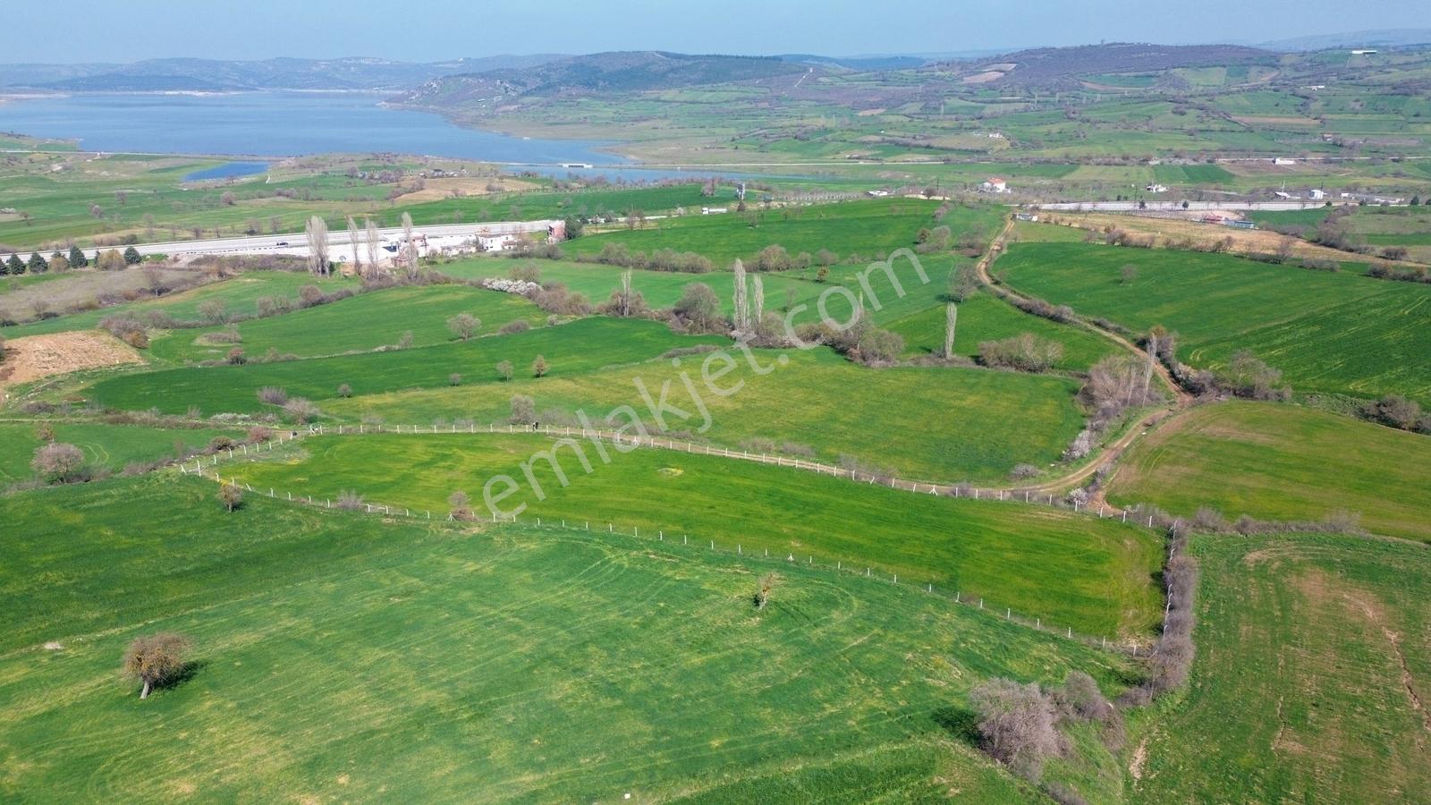 Balıkesir Bayat Mah. Kadastral Yola Cepheli Satılık Hobi Bahçesi - Görsel 16