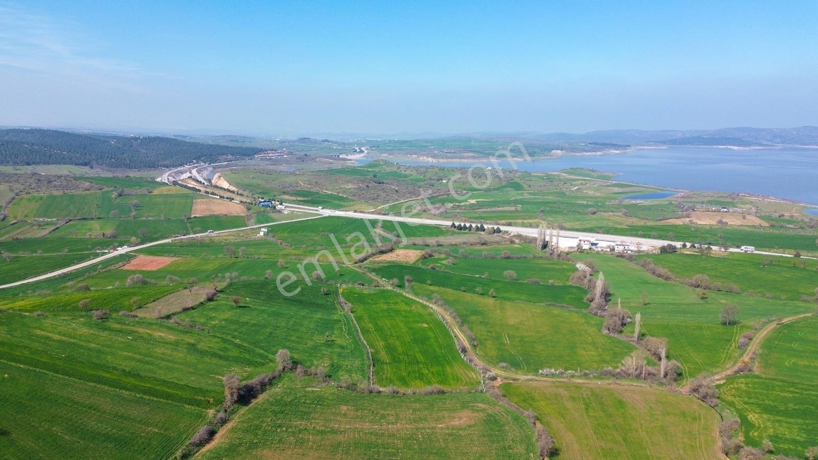 Balıkesir Bayat Mah. Kadastral Yola Cepheli Satılık Hobi Bahçesi - Görsel 12
