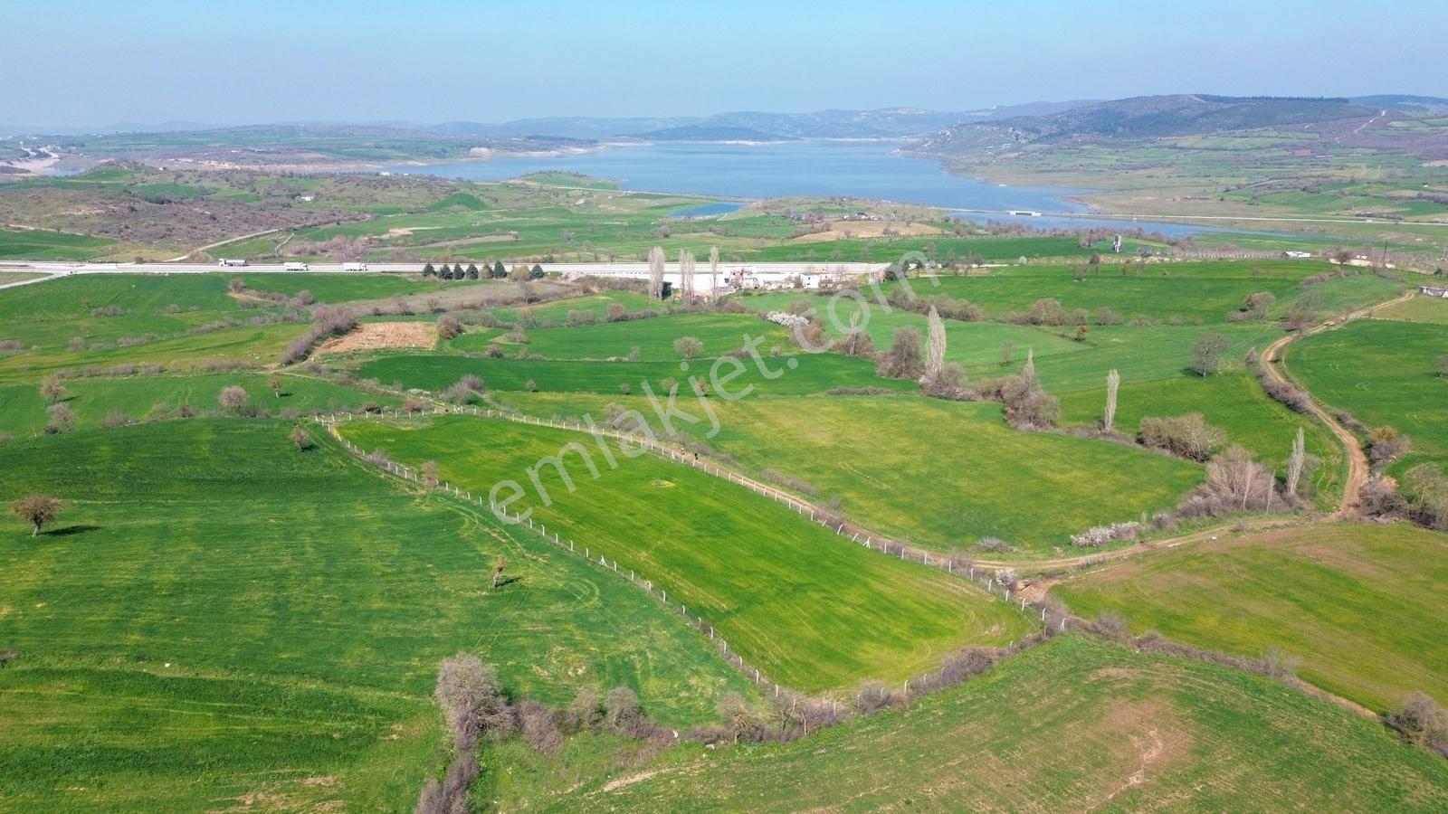 Balıkesir Bayat Mah. Kadastral Yola Cepheli Satılık Hobi Bahçesi - Görsel 2