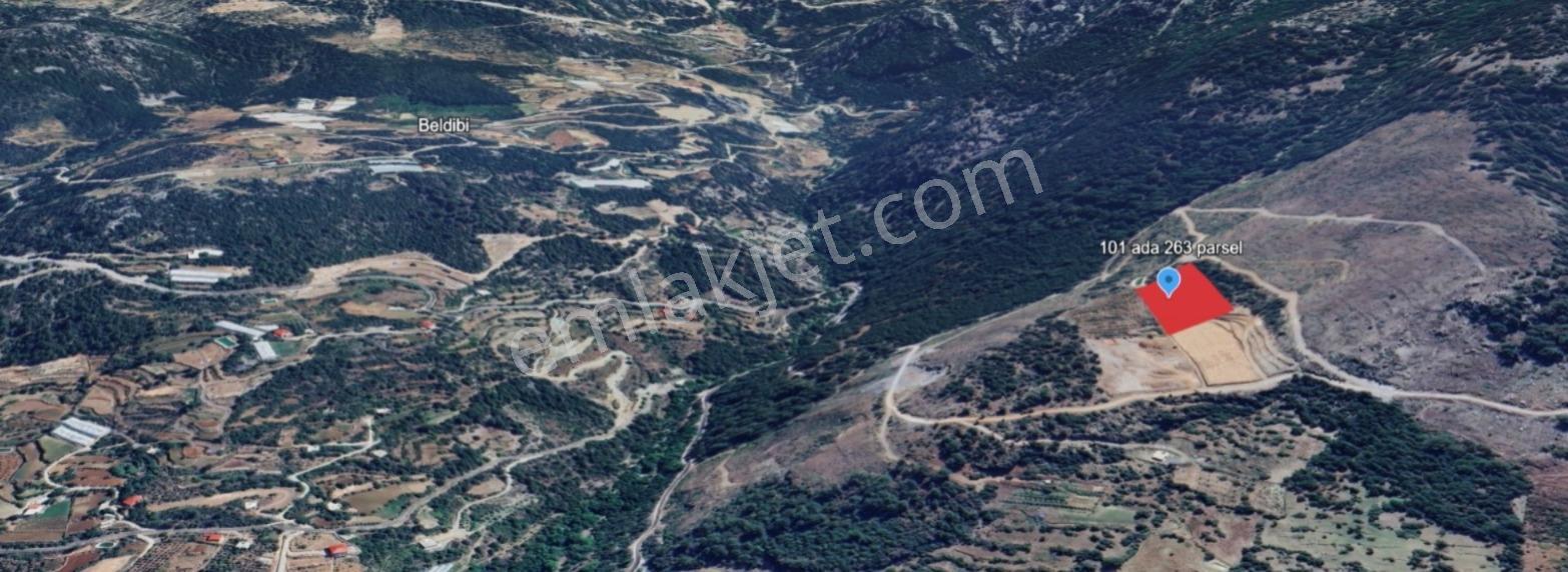 Sugözü Mahallesi Fırsat 8.700 M2 Oksijeni Bol Manzarası Mükemmel - Görsel 3