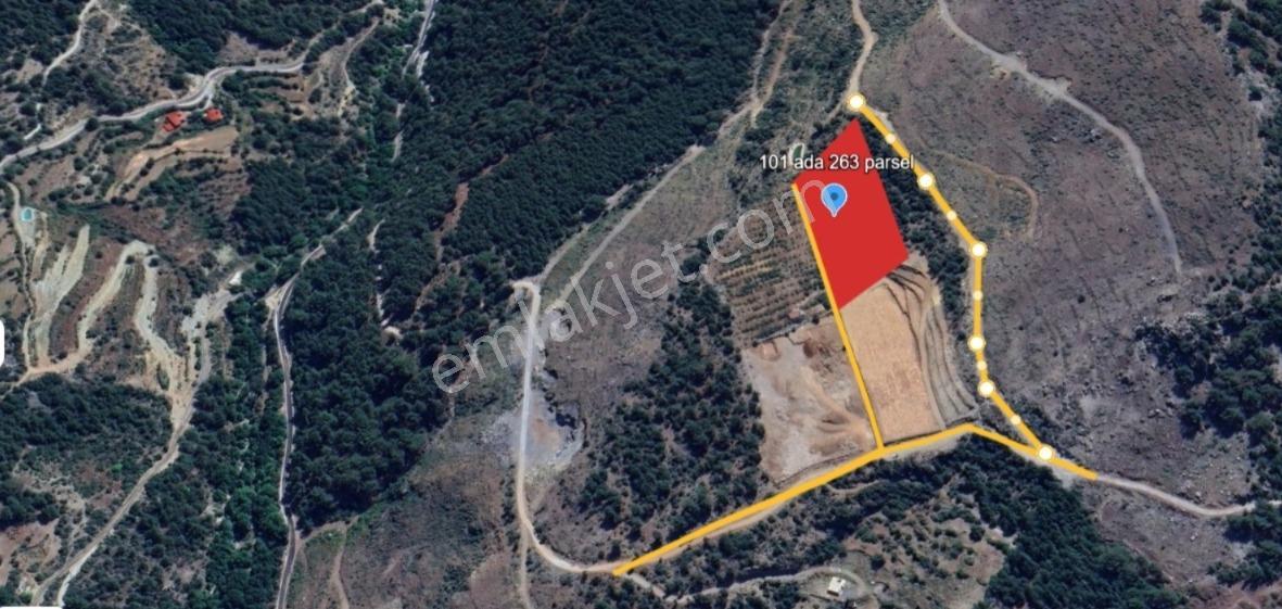 Sugözü Mahallesi Fırsat 8.700 M2 Oksijeni Bol Manzarası Mükemmel - Görsel 2