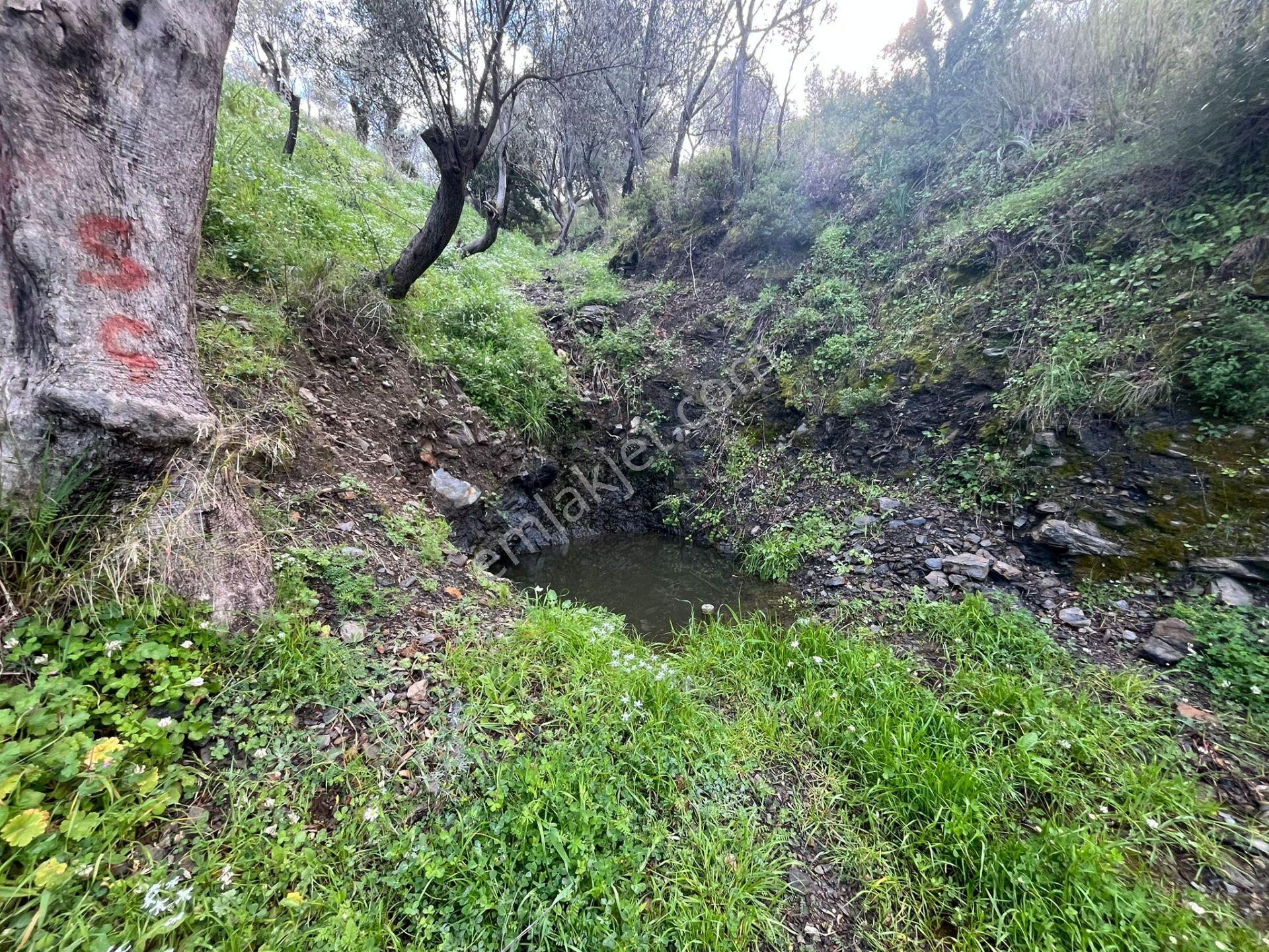 Seferihisar Gödence Satılık 7975 M2 Yatırımlık Bedava Tarla - Görsel 16