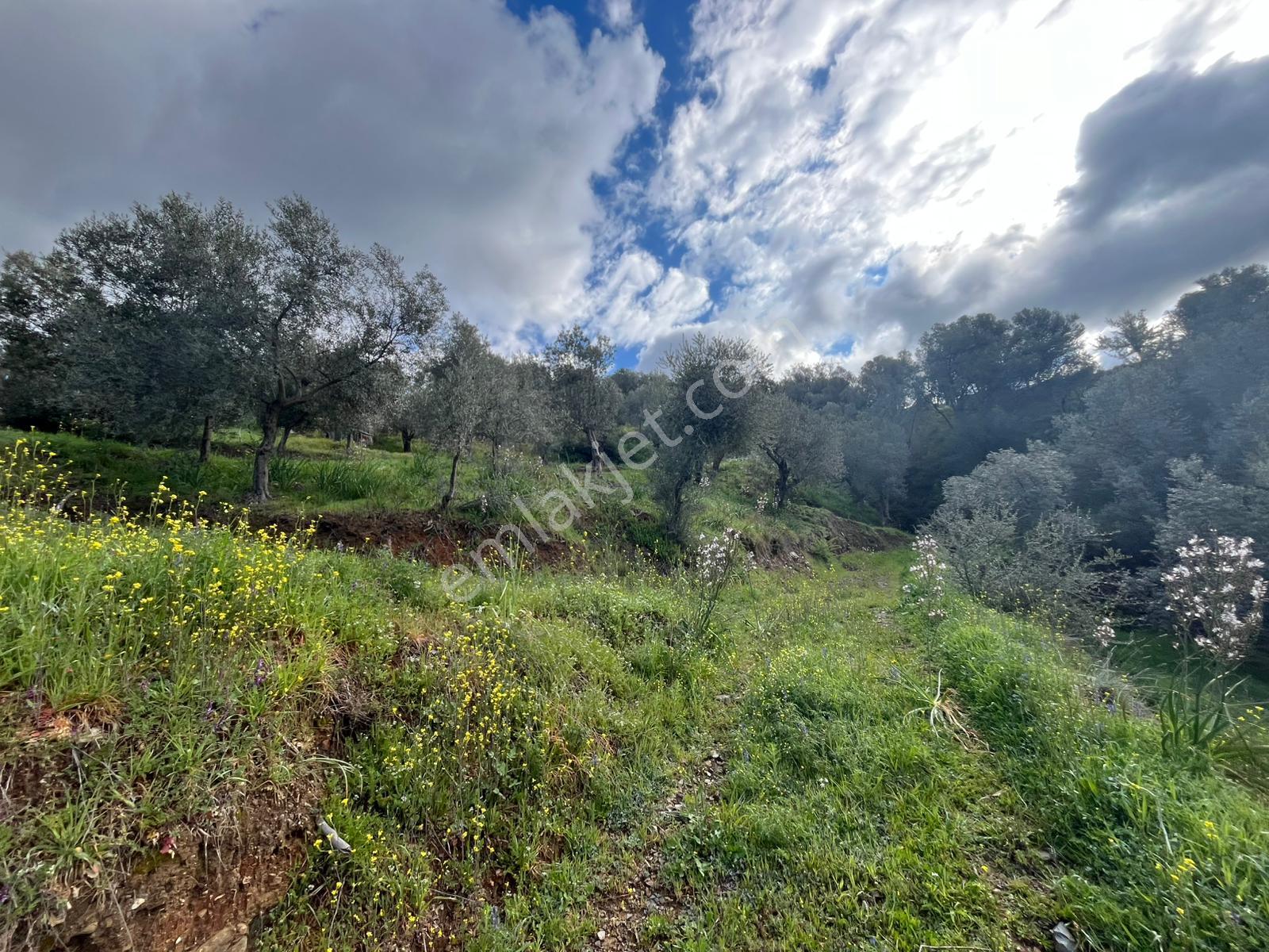 Seferihisar Gödence Satılık 7975 M2 Yatırımlık Bedava Tarla - Görsel 10