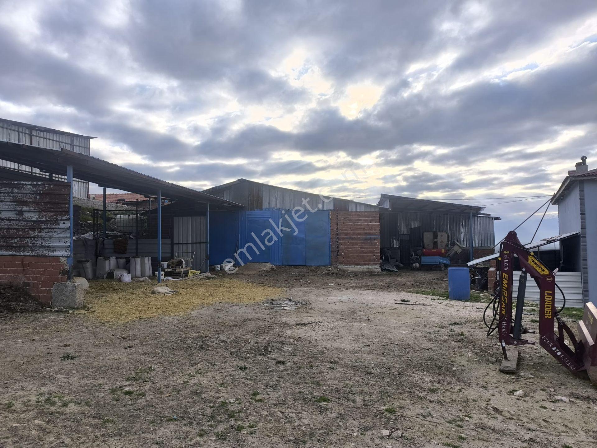 Arzupınar Koyunde Arsalı 2 Katlı Ev Samanlık Garaj 150 Baş Ahır - Görsel 6