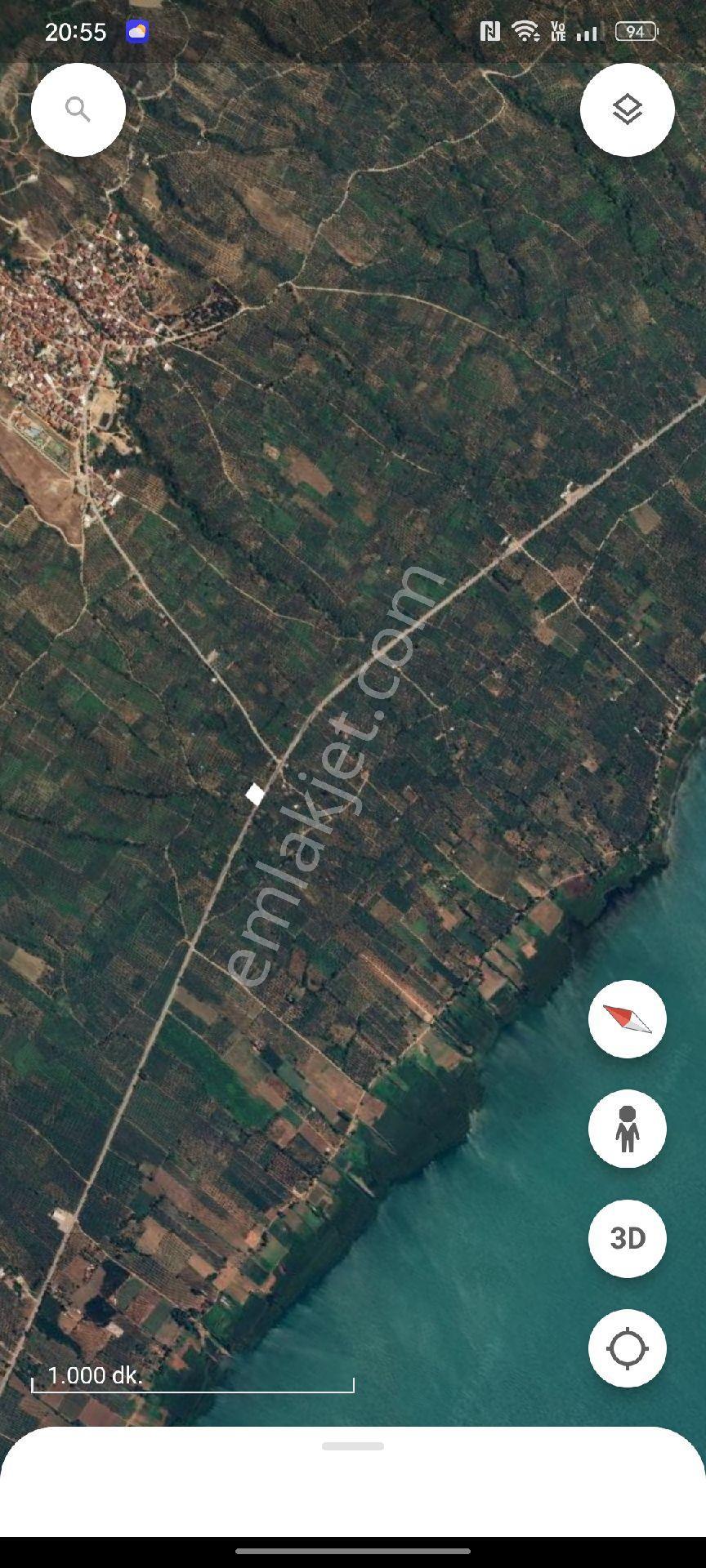 Bursa Orhangazi Çakırlı Satılık Zeytinlik Bahcesi Asfalt Cepheli 1486 Mkacil - Görsel 8