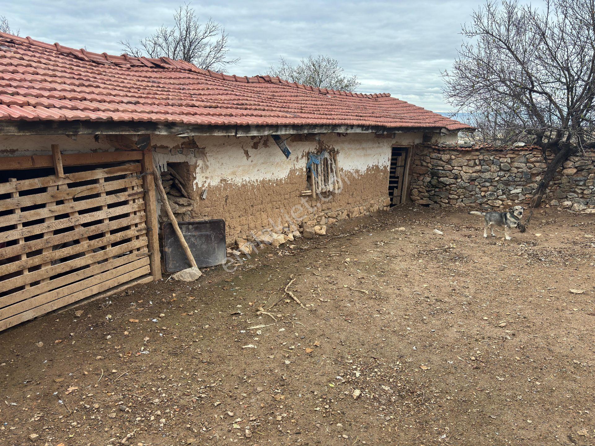 Eskişehir Beylikova Halilbağı Köyünde Çiftlik Köy Evi - Görsel 4