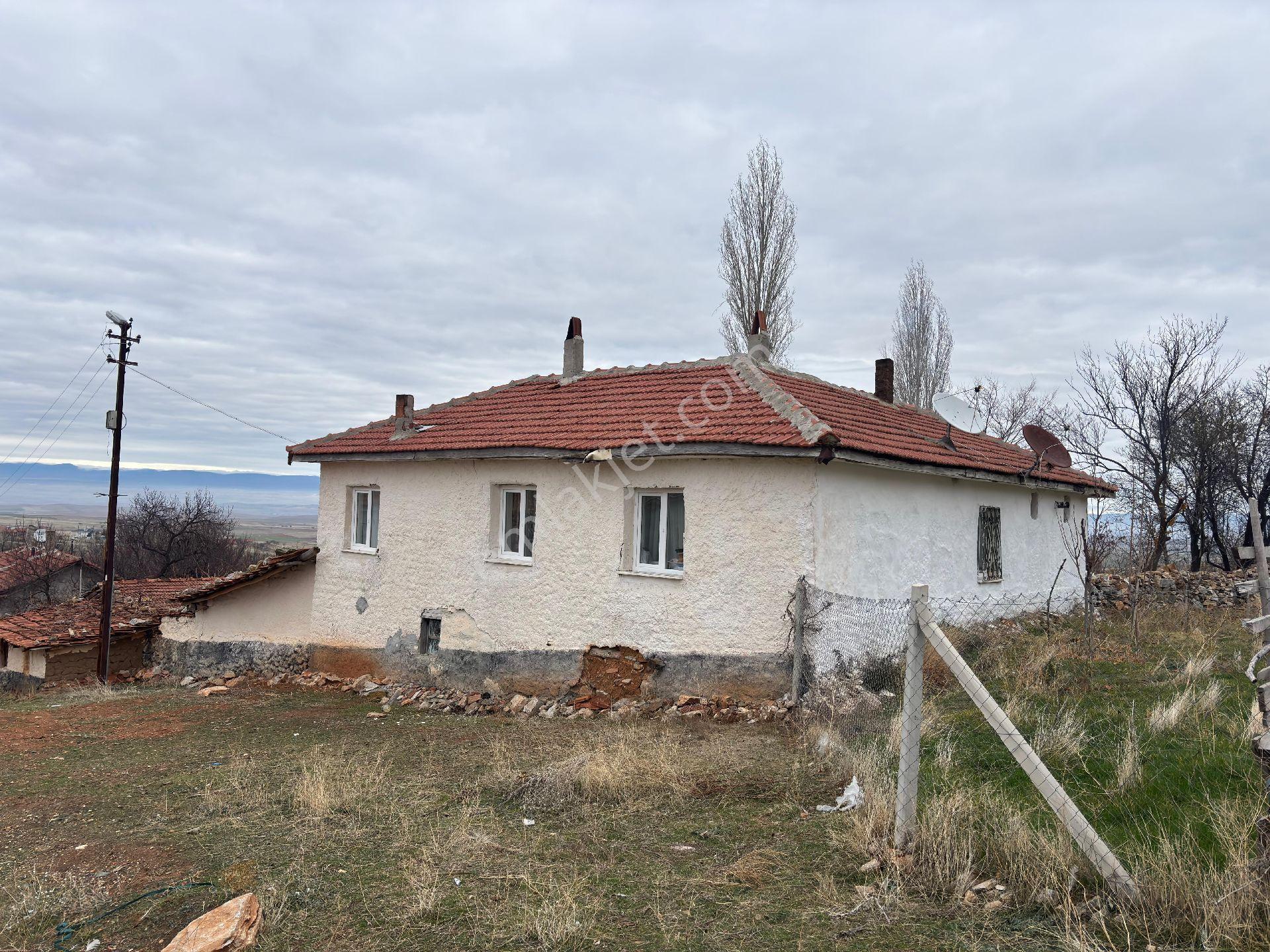 Eskişehir Beylikova Halilbağı Köyünde Çiftlik Köy Evi - Görsel 8