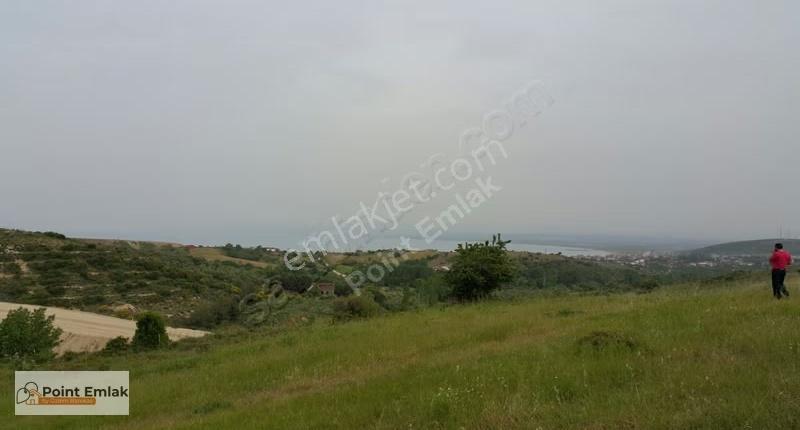 Çanakkale Karabiga Zeytinlikte Deniz Manzaralı Anayola 50m Arazi - Görsel 7