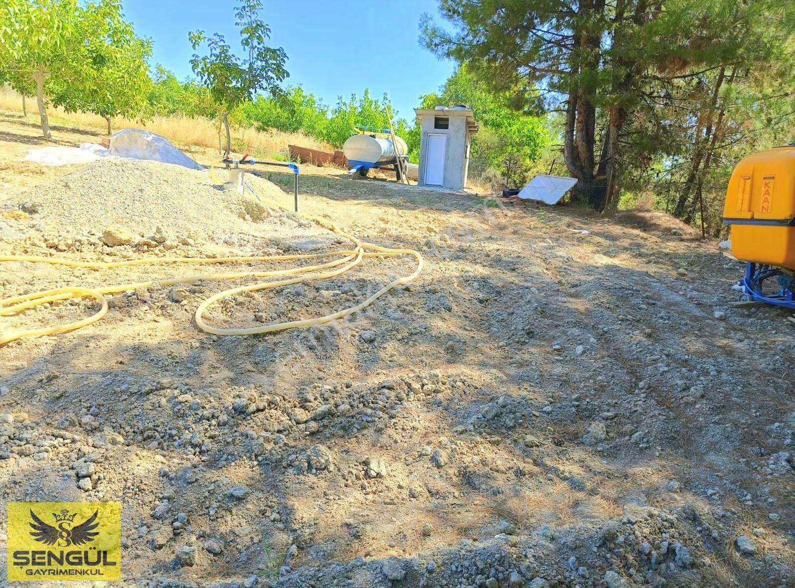 Şengül Gayrimenkul'den Kale'de Satılık Ceviz Bahçesi - Görsel 2