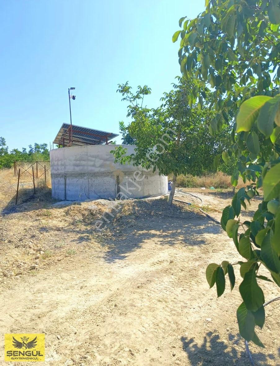 Şengül Gayrimenkul'den Kale'de Satılık Ceviz Bahçesi - Görsel 3