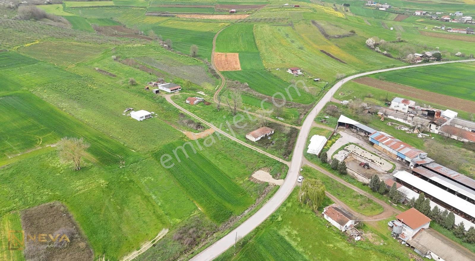 Kayrancık Mah. Asfalt Yola Cephe Satılık 308 M2 Yatırımlık Tarla - Görsel 11