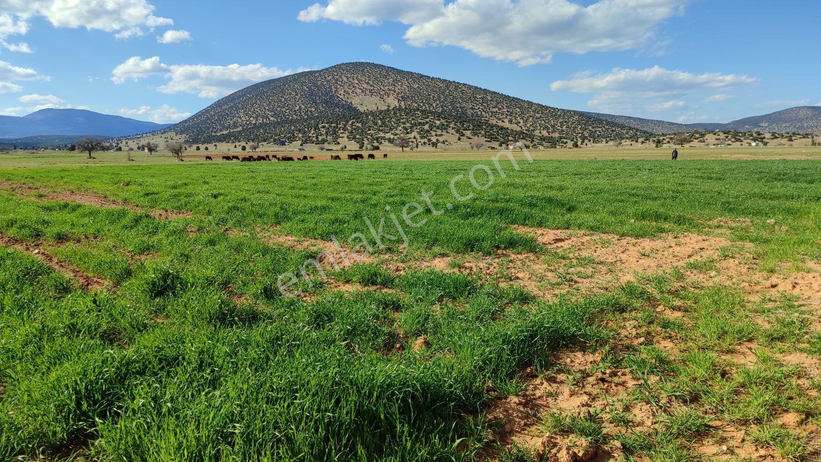 Korkuteli İmecik Köyü Satılık 795m2 Tarla 170.000 - Görsel 15