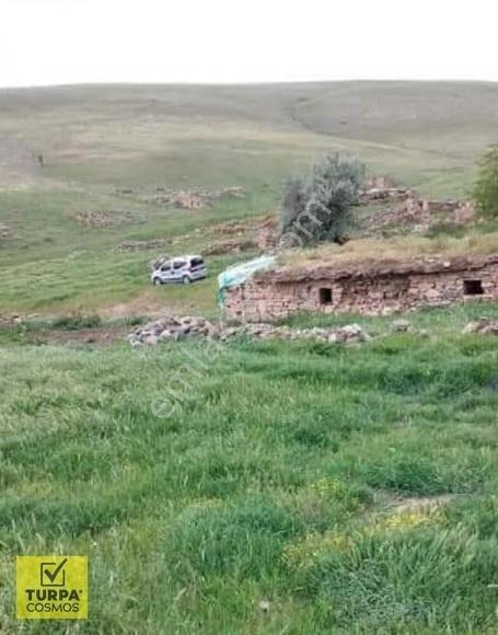 Afyonkarahisar'da Tek Tapu Arsa Alıcısına Hayırlı Olsun - Görsel 2