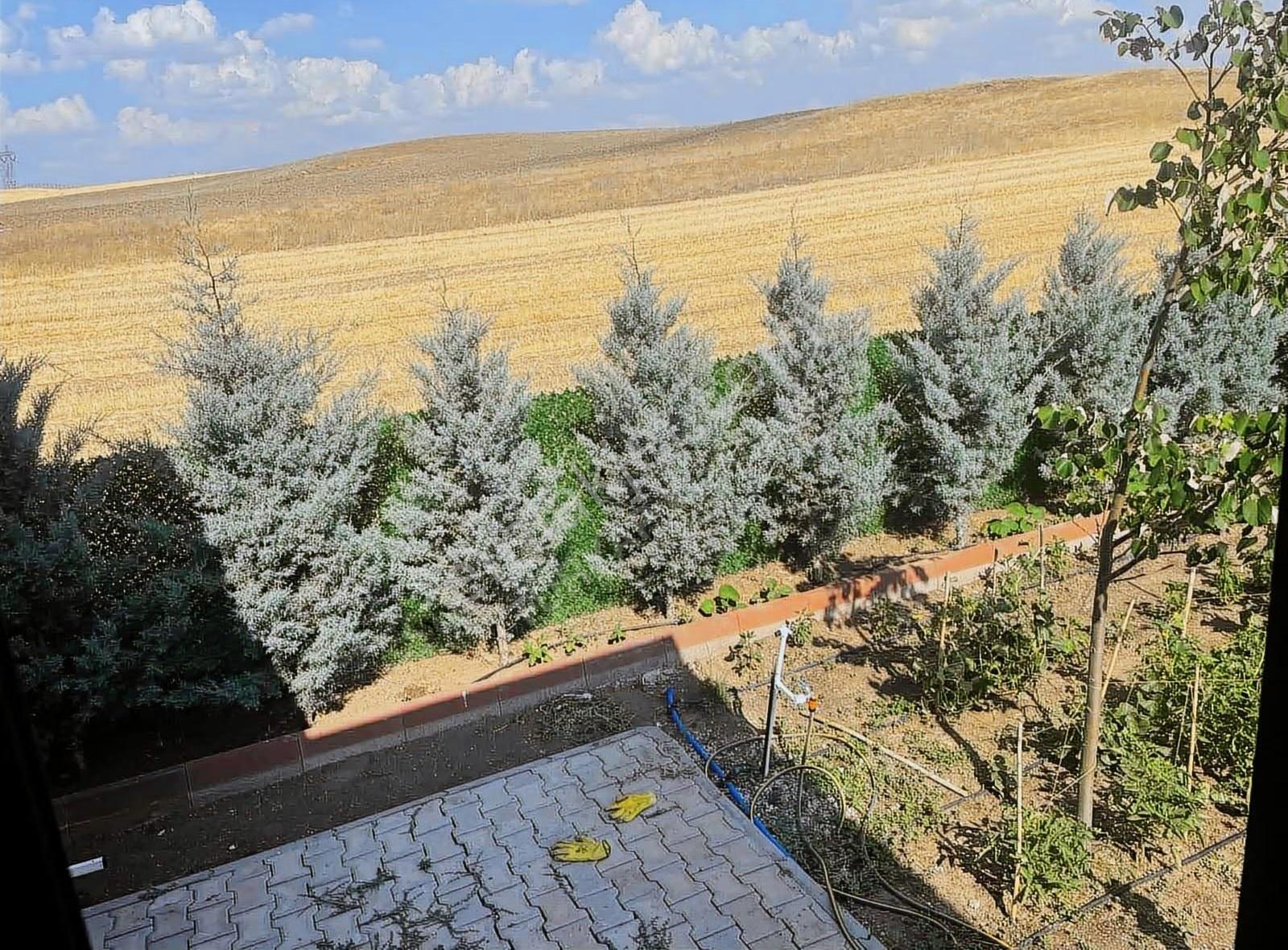 Günalan Da İçinde 2+1 Bahçe Evi Olan Kooperatif Hissesi - Görsel 2