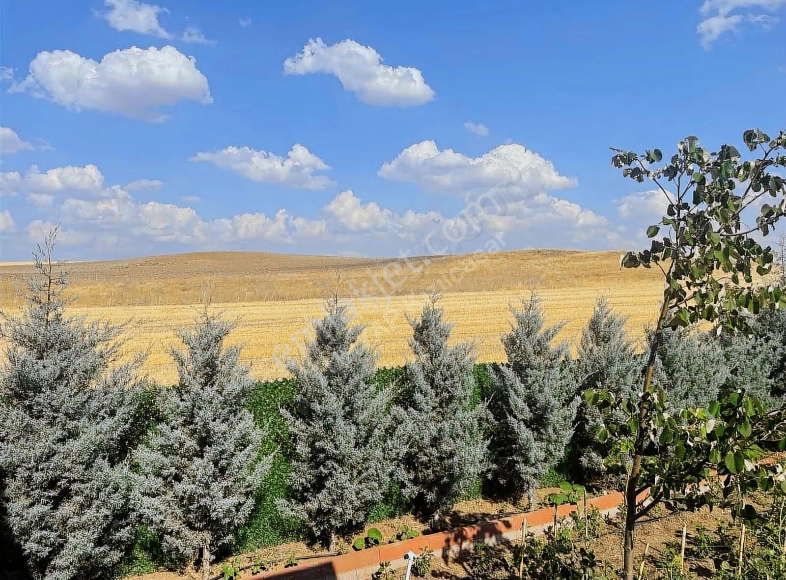 Günalan Da İçinde 2+1 Bahçe Evi Olan Kooperatif Hissesi - Görsel 35