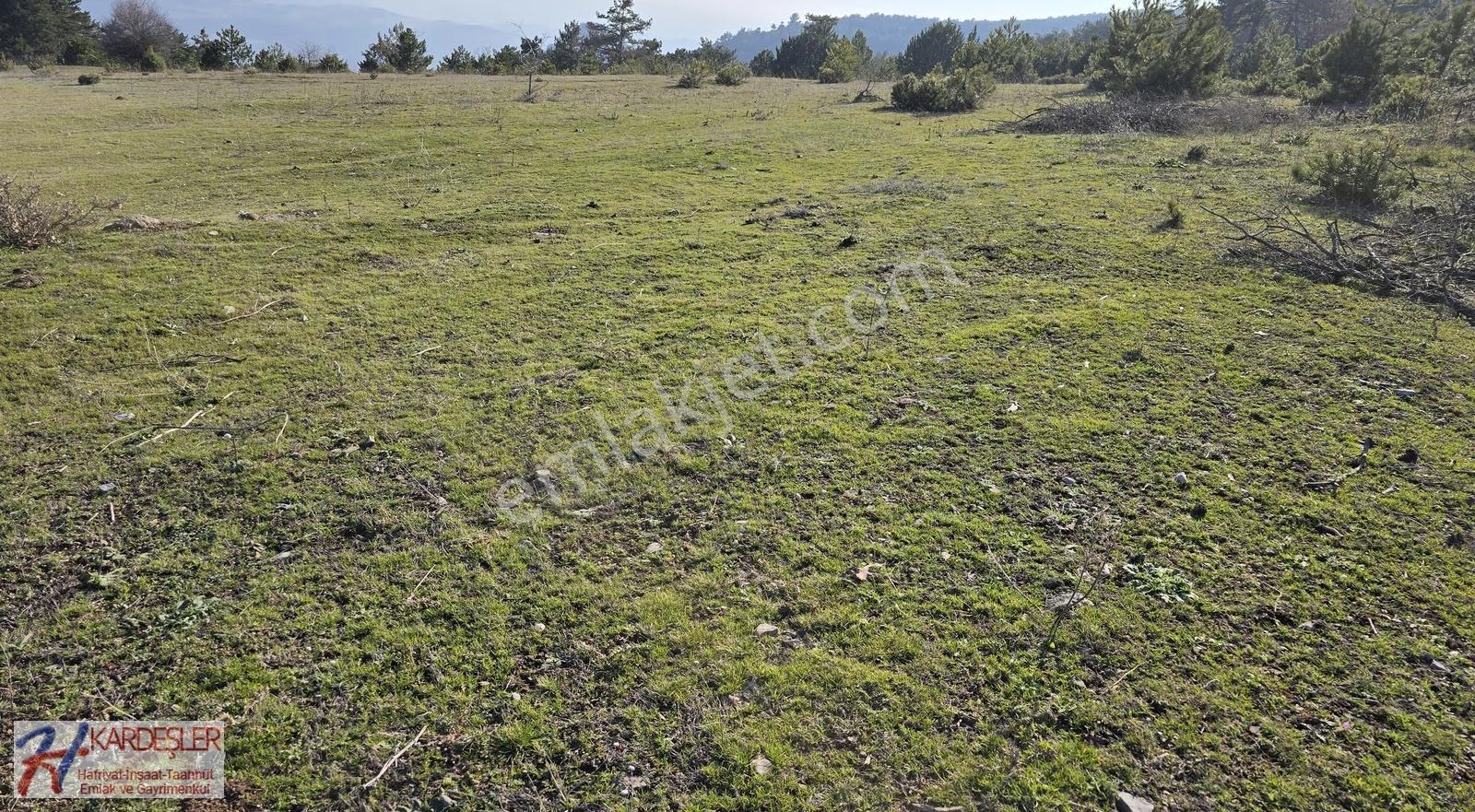 Sakarya P.ova Akçakaya Ormana Cephe Kaçırılmayacak Kupon Arazi - Görsel 12