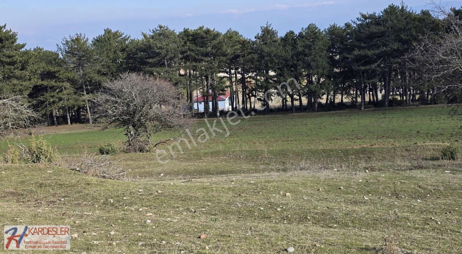 Sakarya P.ova Akçakaya Ormana Cephe Kaçırılmayacak Kupon Arazi - Görsel 23
