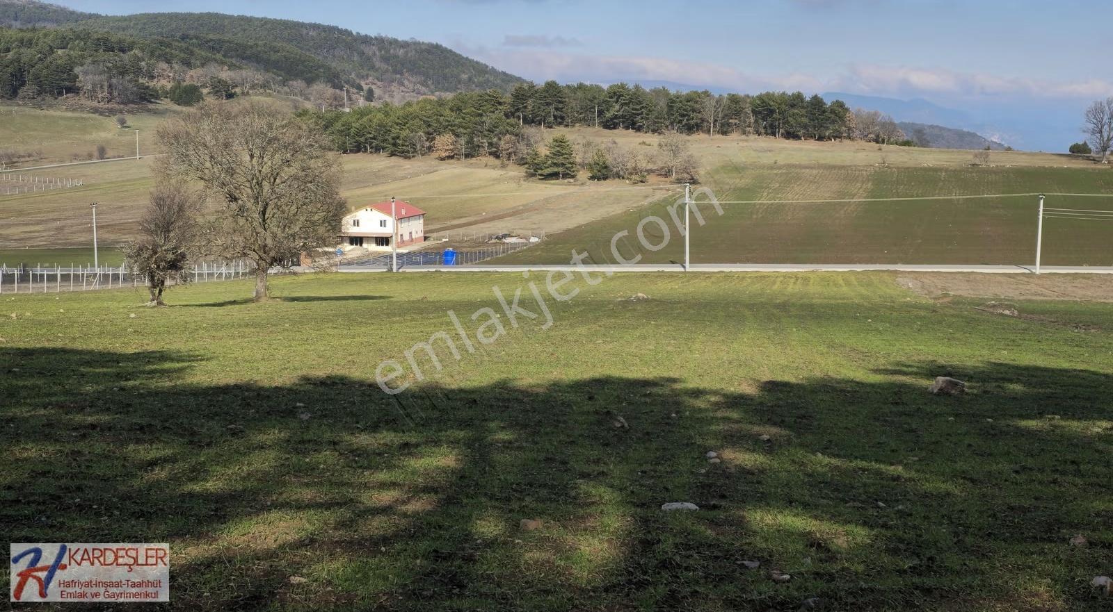 Sakarya P.ova Akçakaya Ormana Cephe Kaçırılmayacak Kupon Arazi - Görsel 13